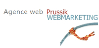 Agence en marketing sur le web